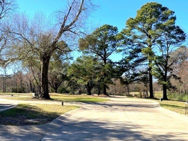 0.23 acres in Henderson County - photo 3