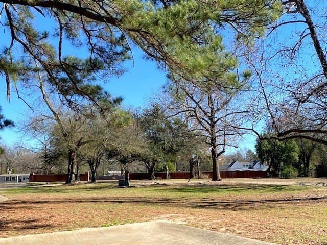0.23 acres in Henderson County - photo 4