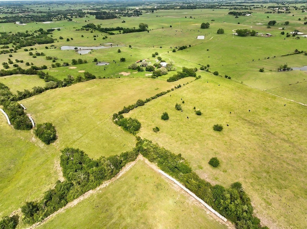 82.95 acres in Austin County gallery image 4