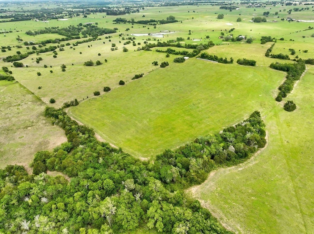 82.95 acres in Austin County gallery image 2