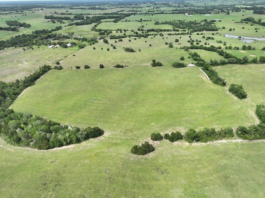 82.95 acres in Austin County gallery image 3
