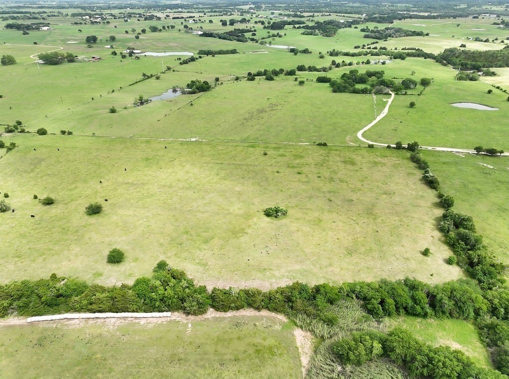 82.95 acres in Austin County featured view