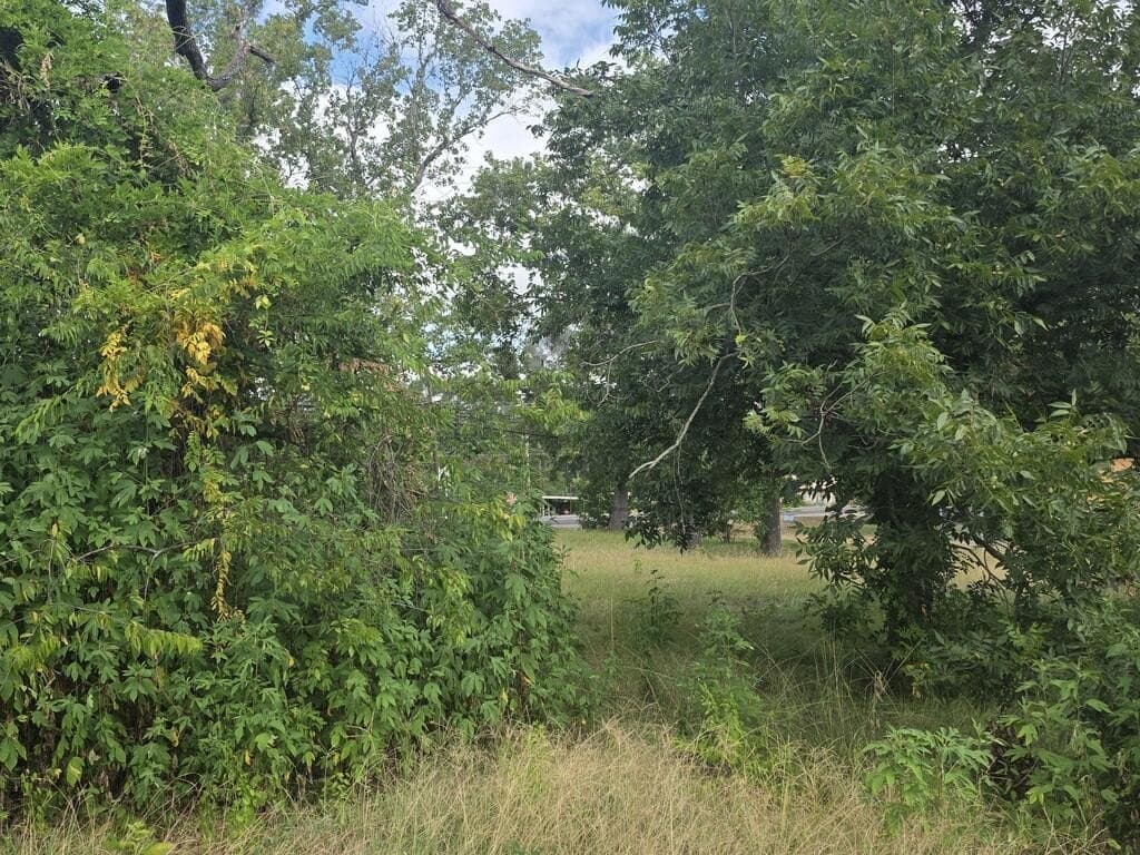 0.25 acres in ANDERSON County - photo 3