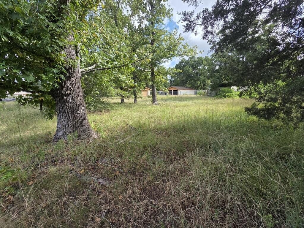 0.25 acres in ANDERSON County - photo 4