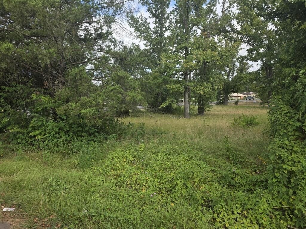 0.25 acres in ANDERSON County - photo 2