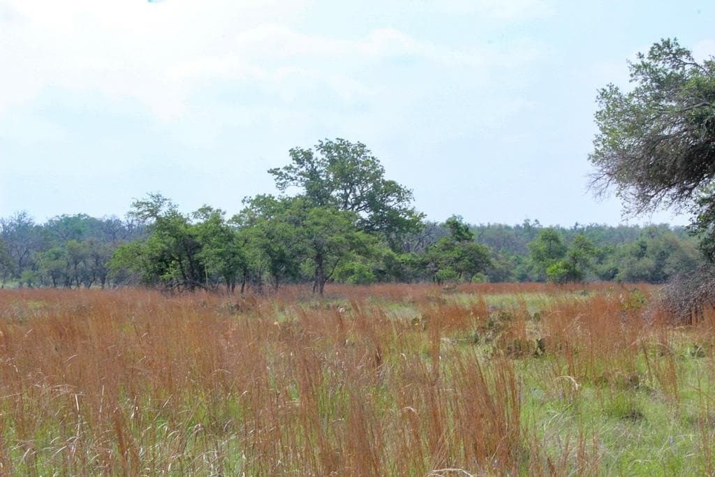 5.03 acres in Kerr County