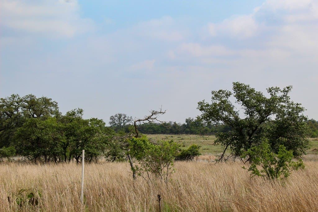 5.03 acres in Kerr County gallery image 3