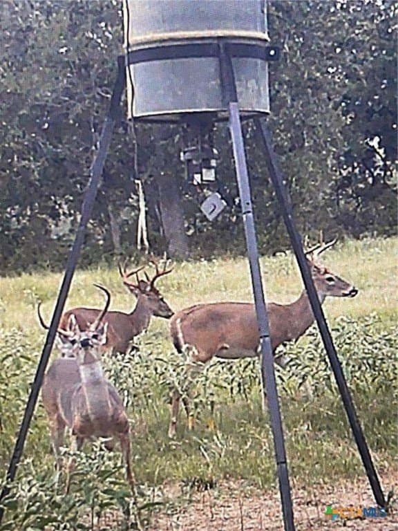 135.82 acres in Milam County - photo 32