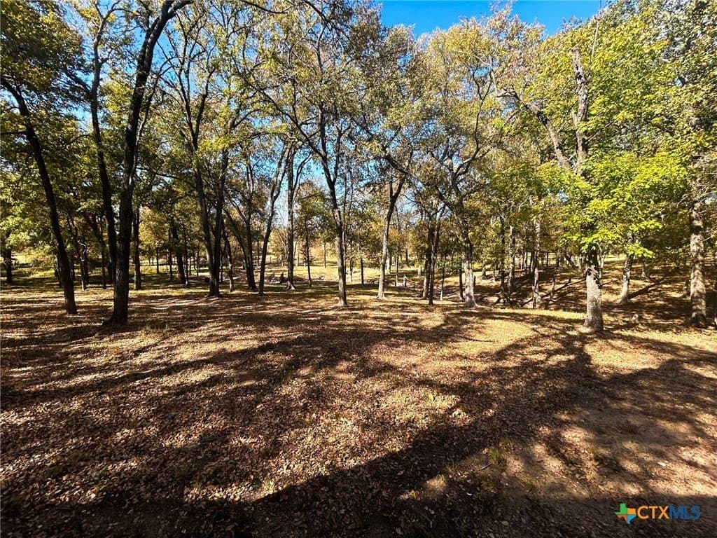 135.82 acres in Milam County - photo 27