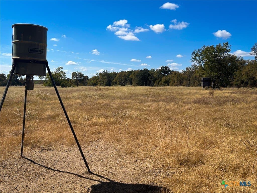 135.82 acres in Milam County - photo 31
