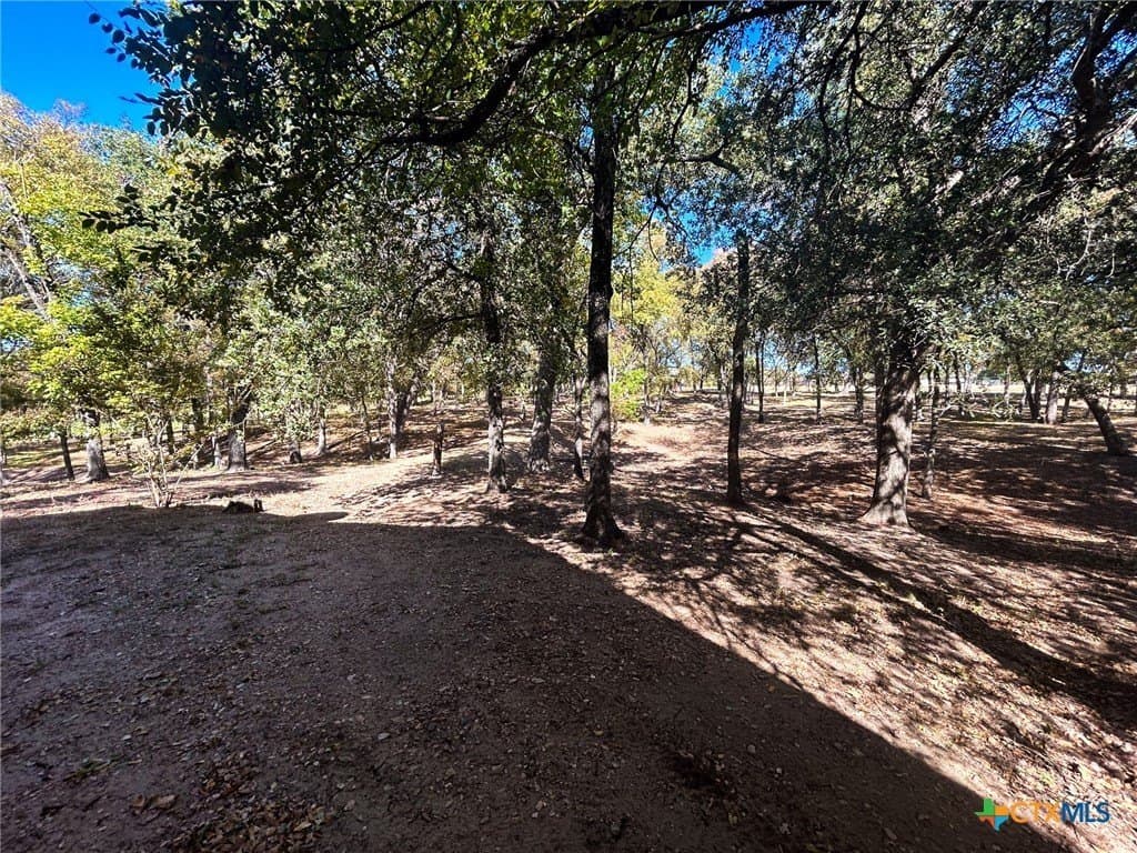 135.82 acres in Milam County - photo 29