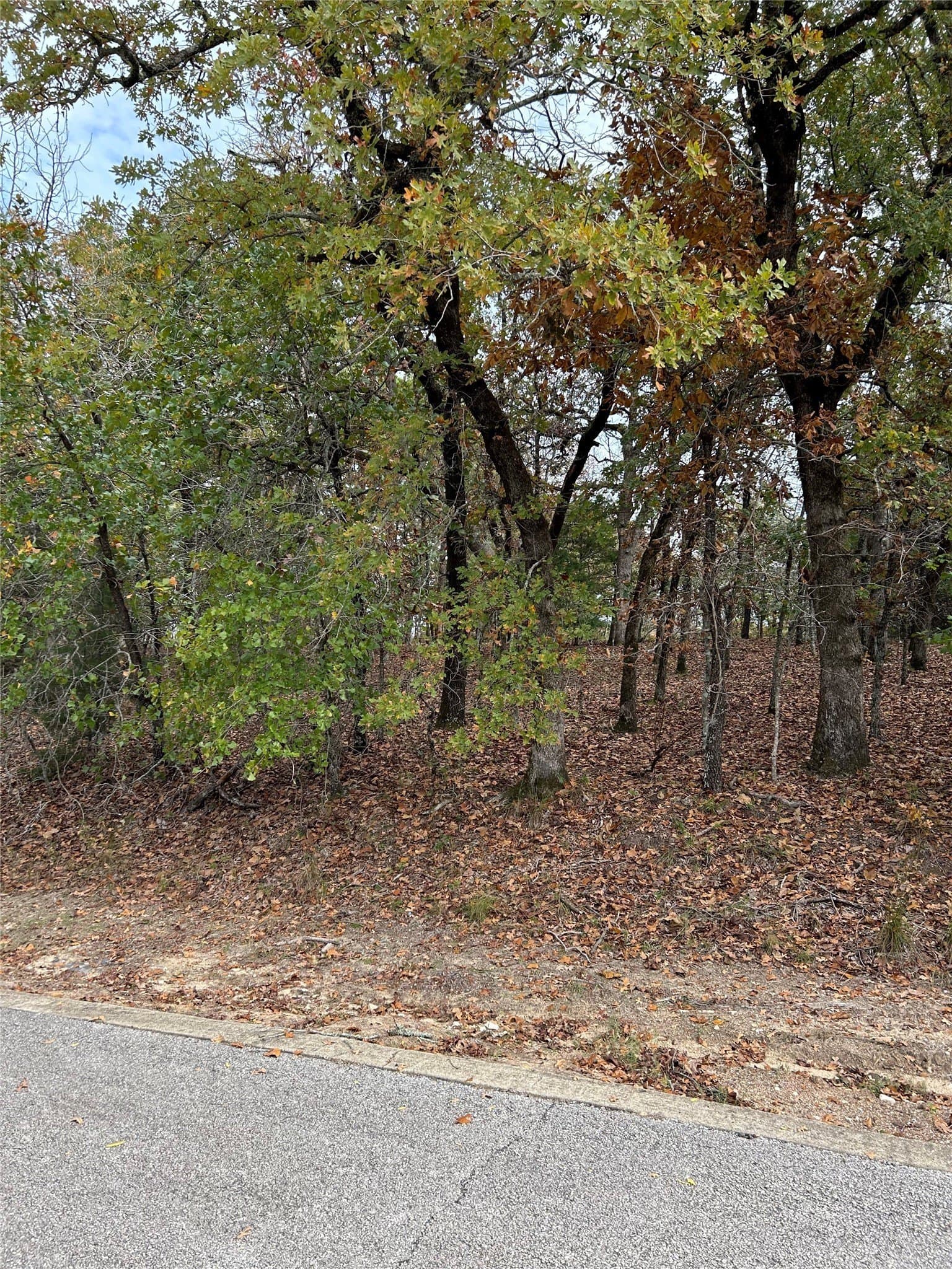0.38 acres in Henderson County - photo 2