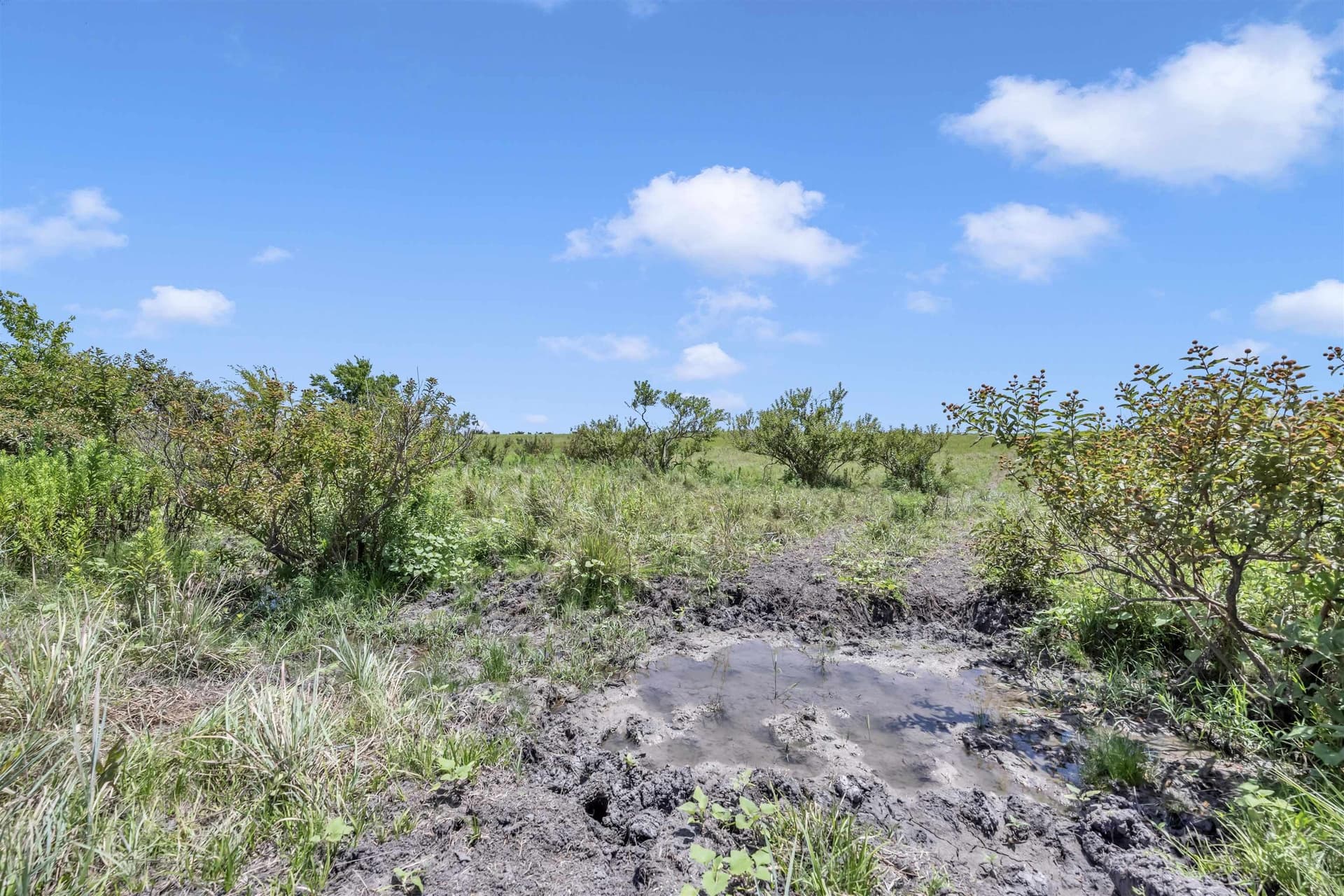40 acres in Burnet County - photo 15
