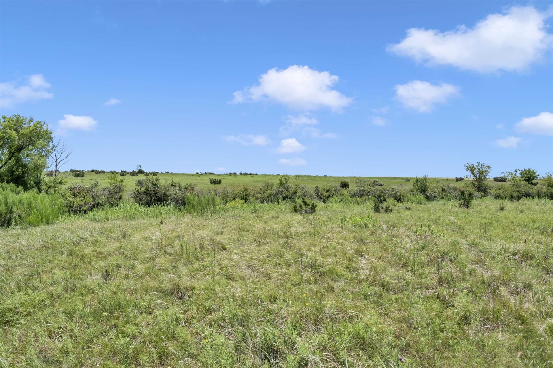 40 acres in Burnet County - photo 17