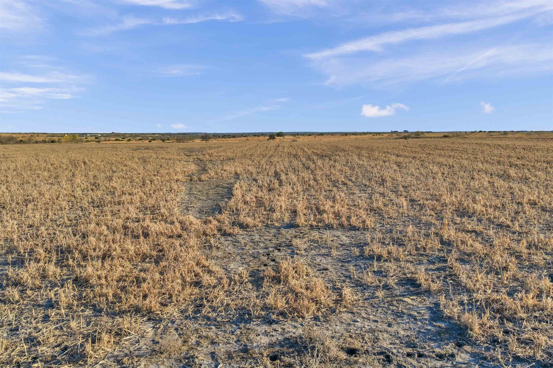 40 acres in Burnet County - photo 19