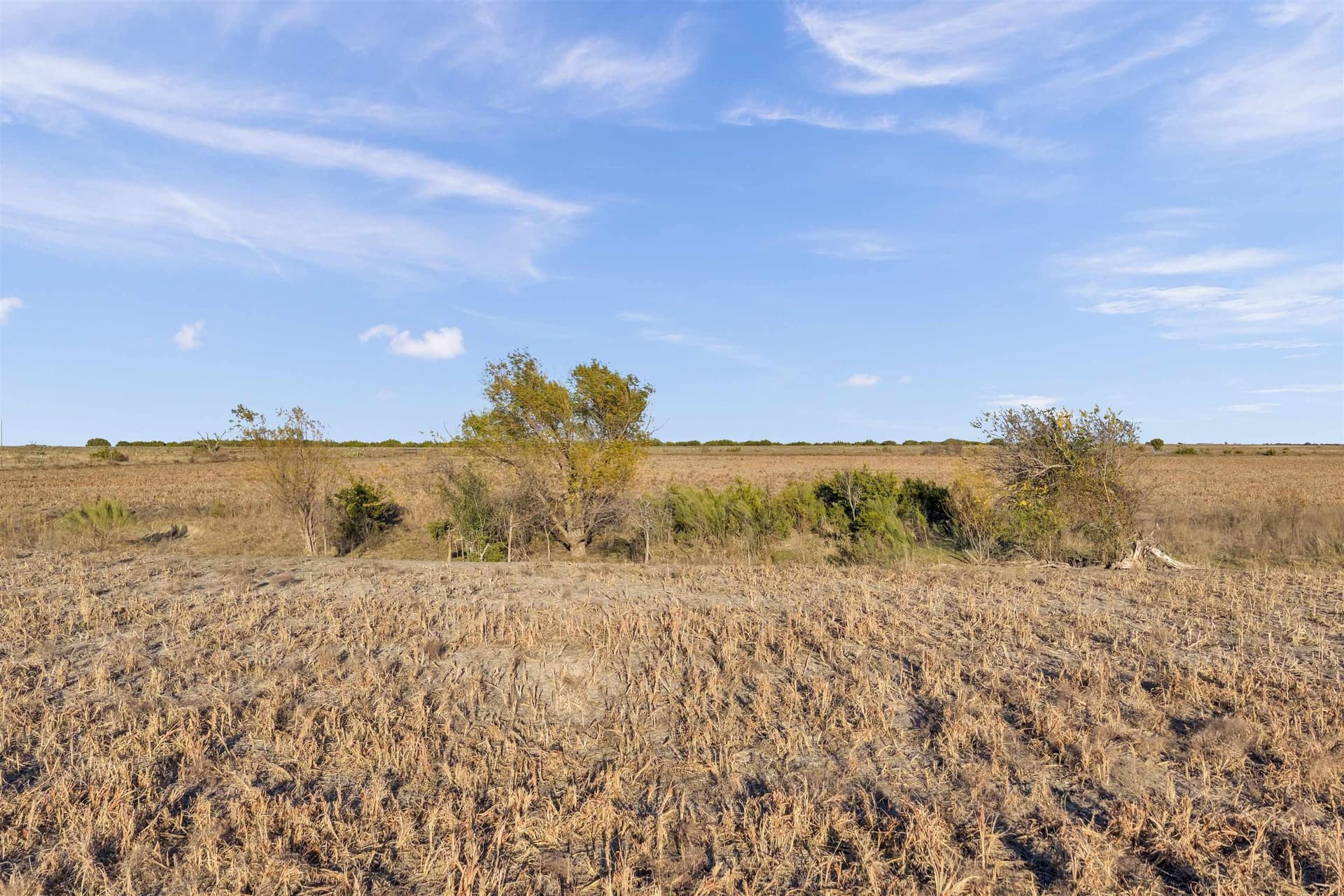 40 acres in Burnet County - photo 10