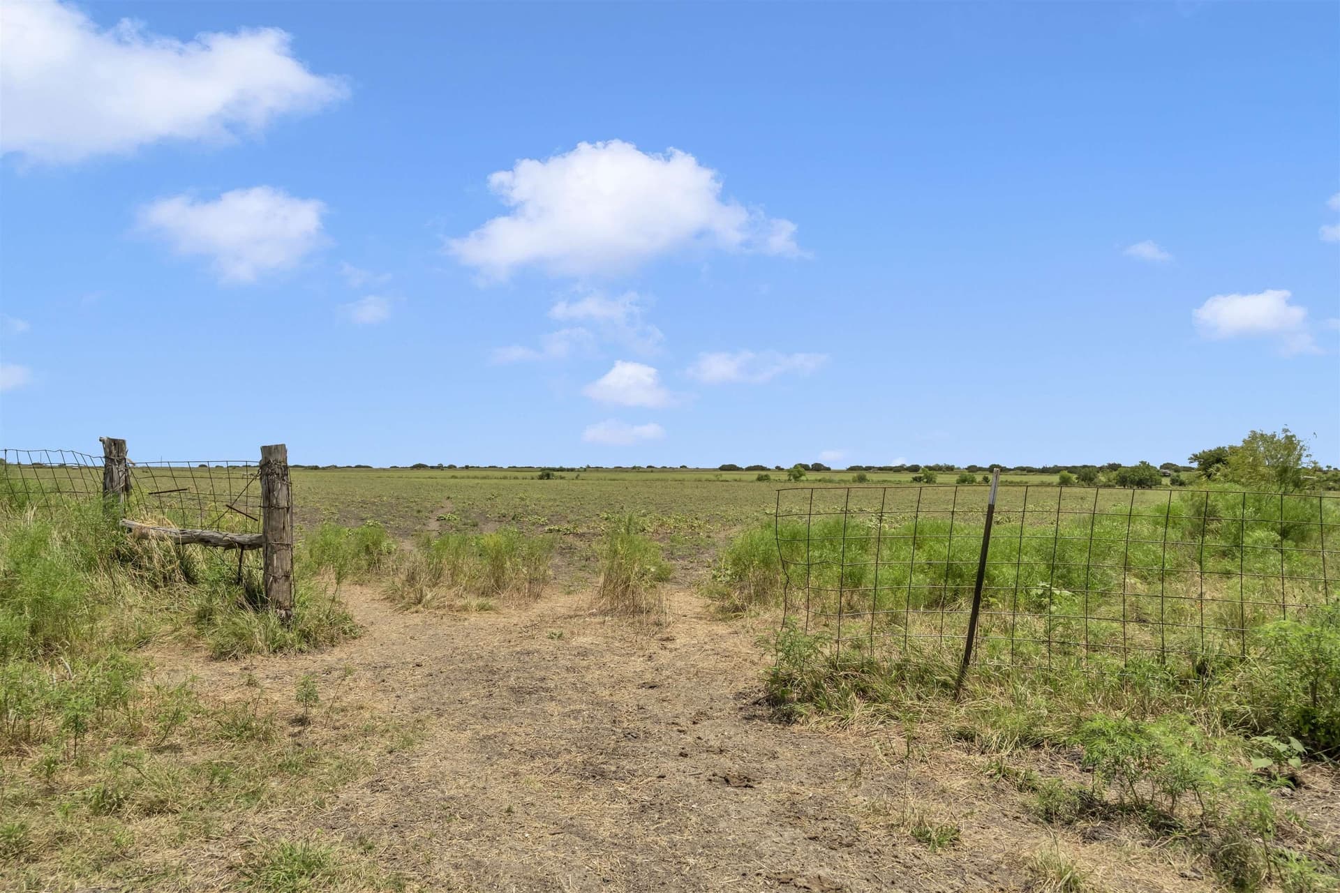 40 acres in Burnet County - photo 21