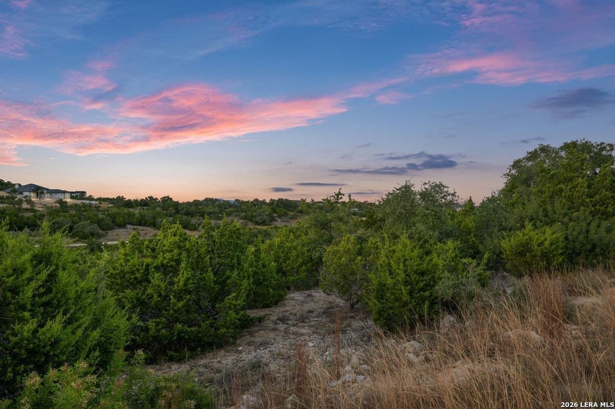 0.74 acres in Bexar County - photo 8