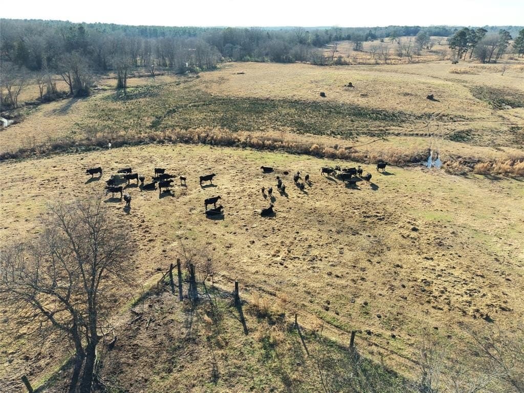 90.5 acres in Upshur County gallery image 3