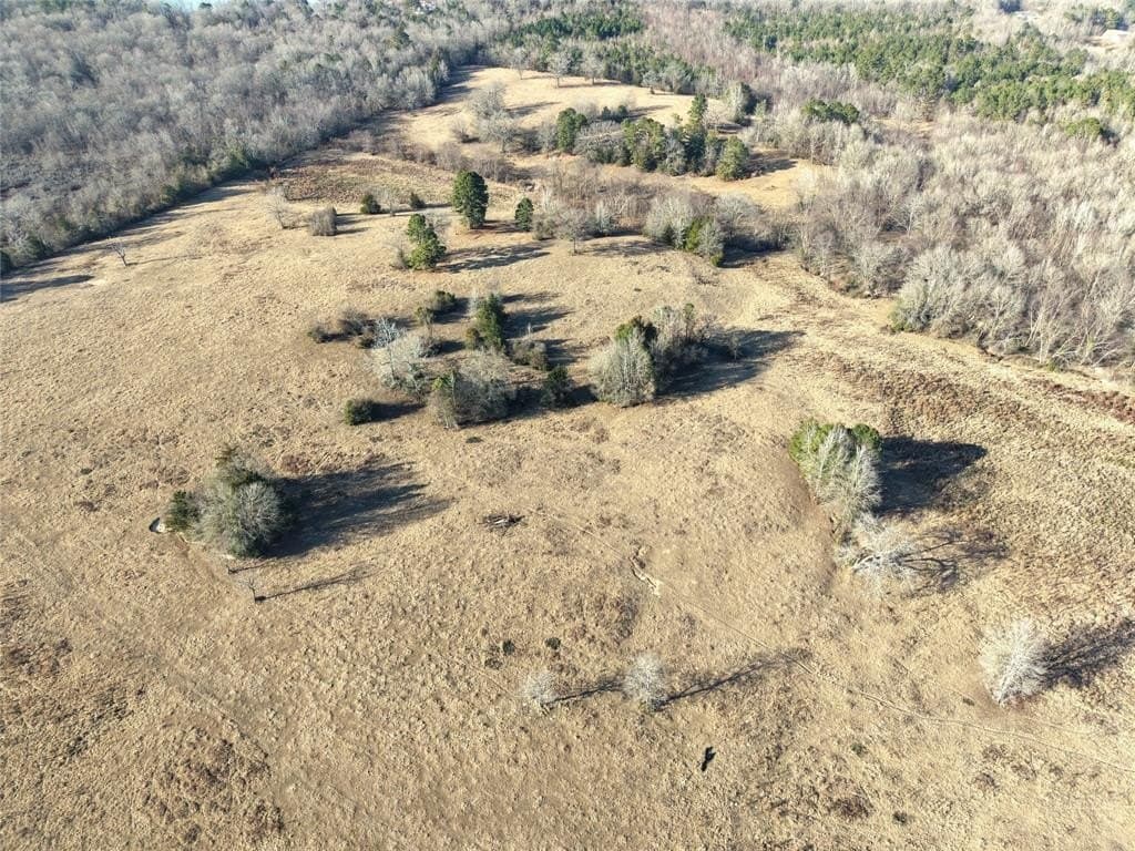 90.5 acres in Upshur County gallery image 4