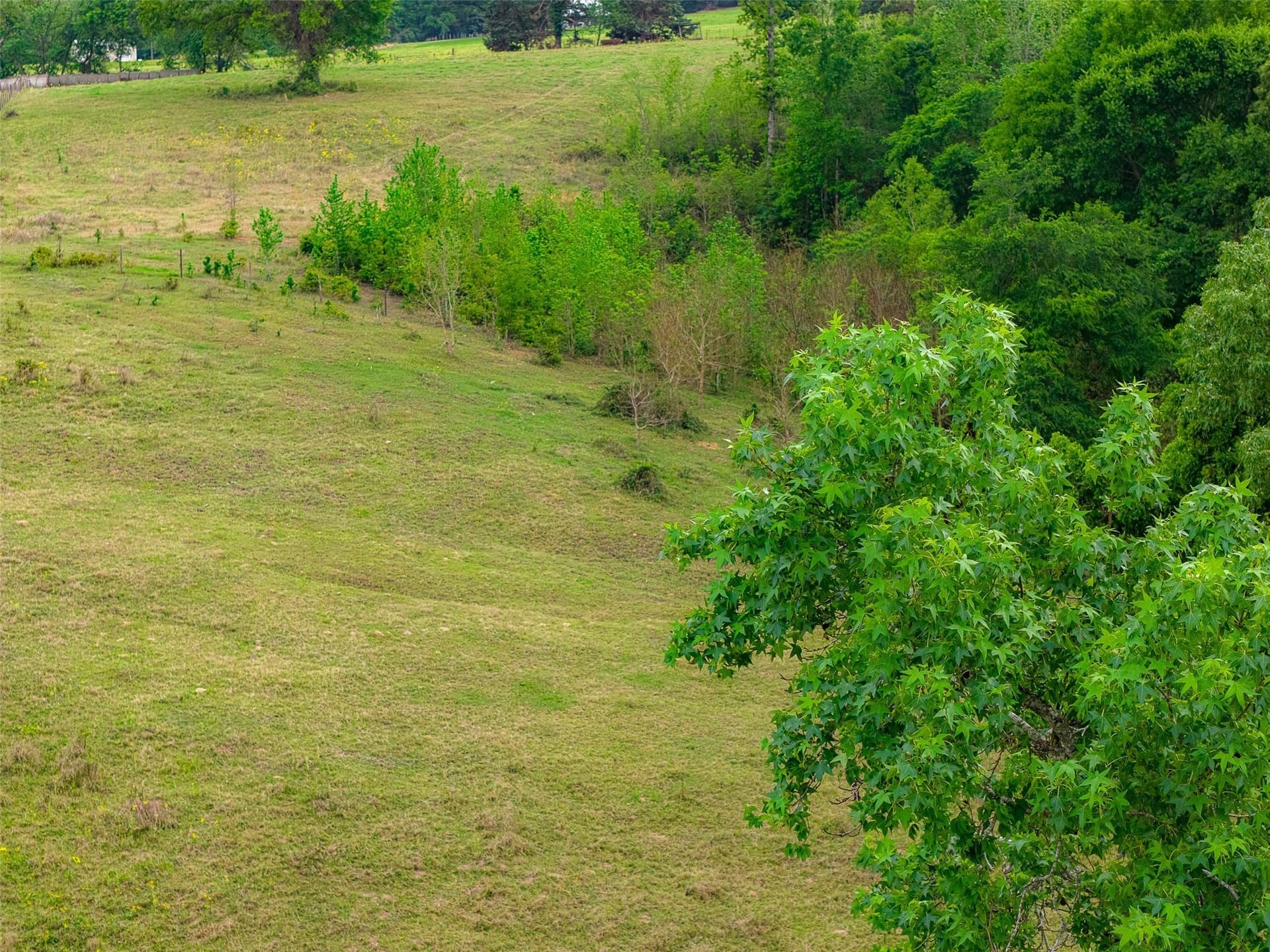 30.95 acres in Cherokee County - photo 28