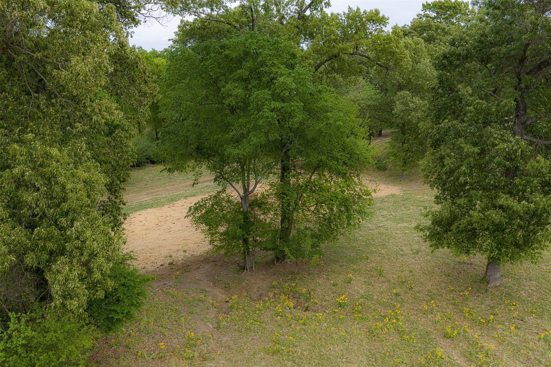 30.95 acres in Cherokee County - photo 19
