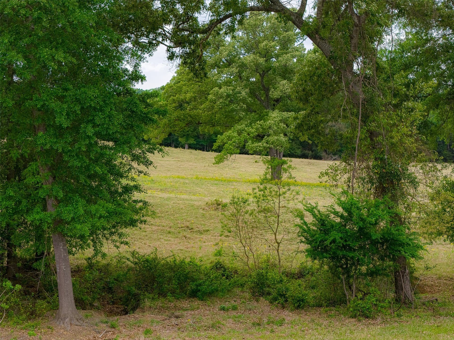 30.95 acres in Cherokee County - photo 6