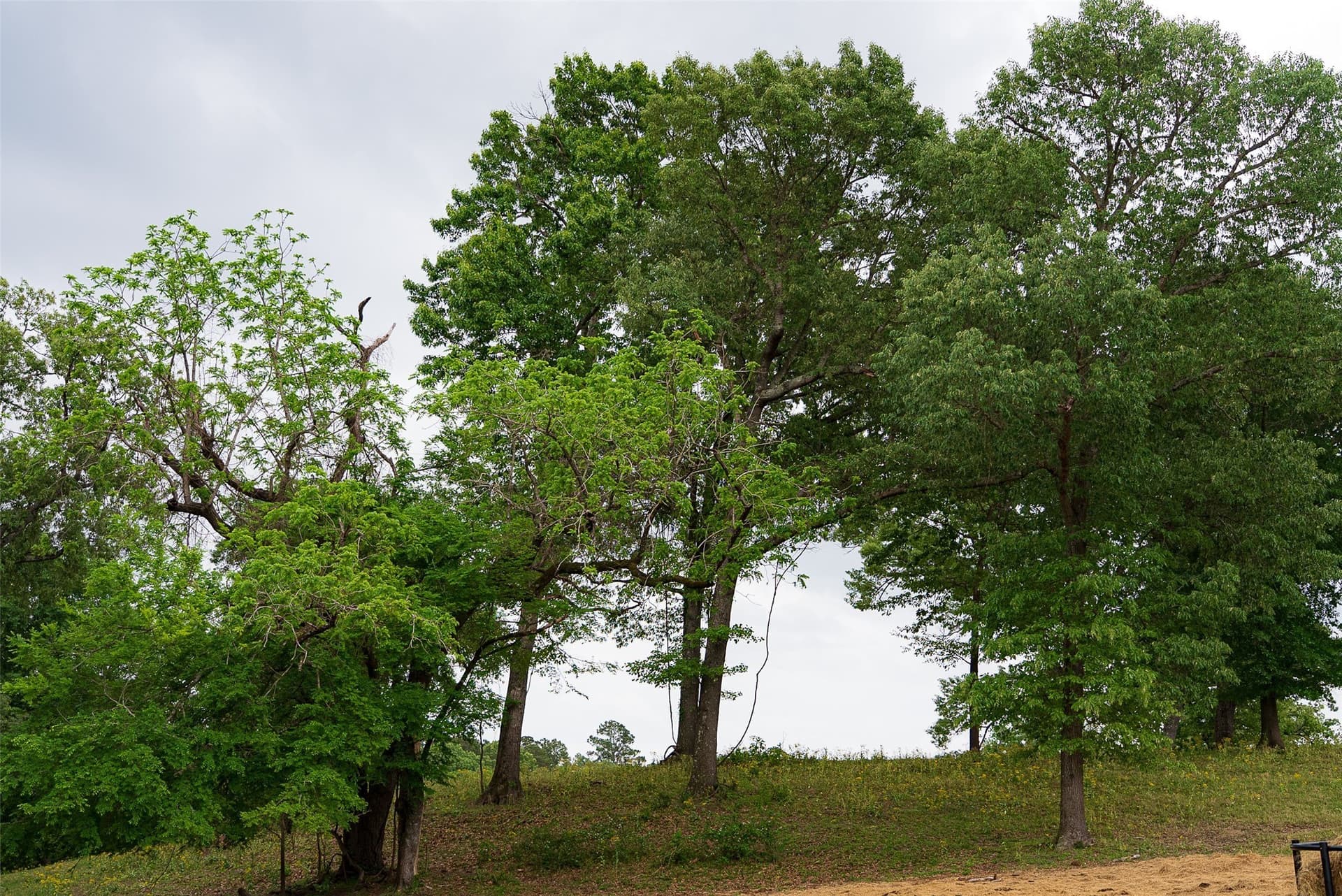 30.95 acres in Cherokee County - photo 16