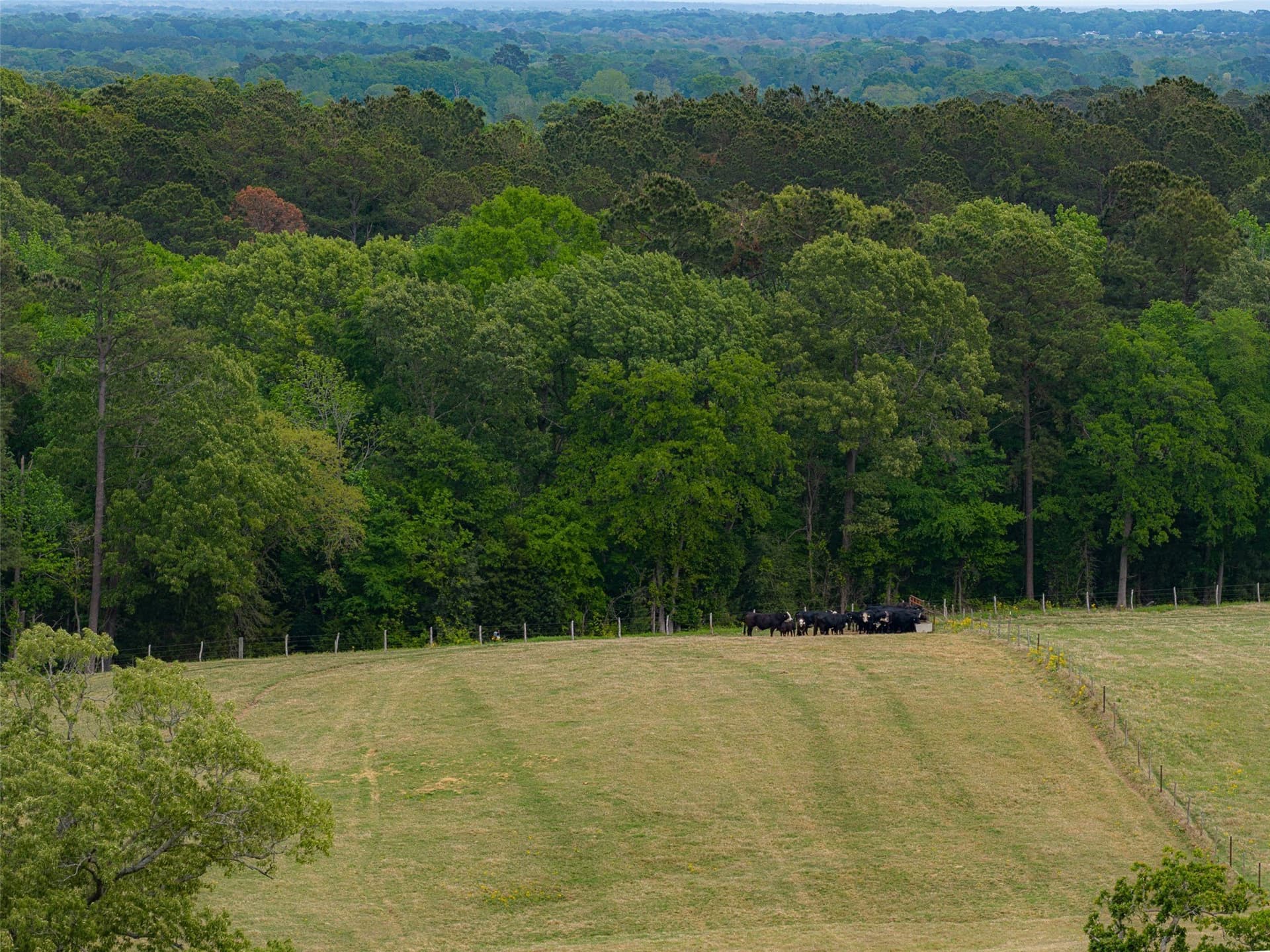 30.95 acres in Cherokee County - photo 2