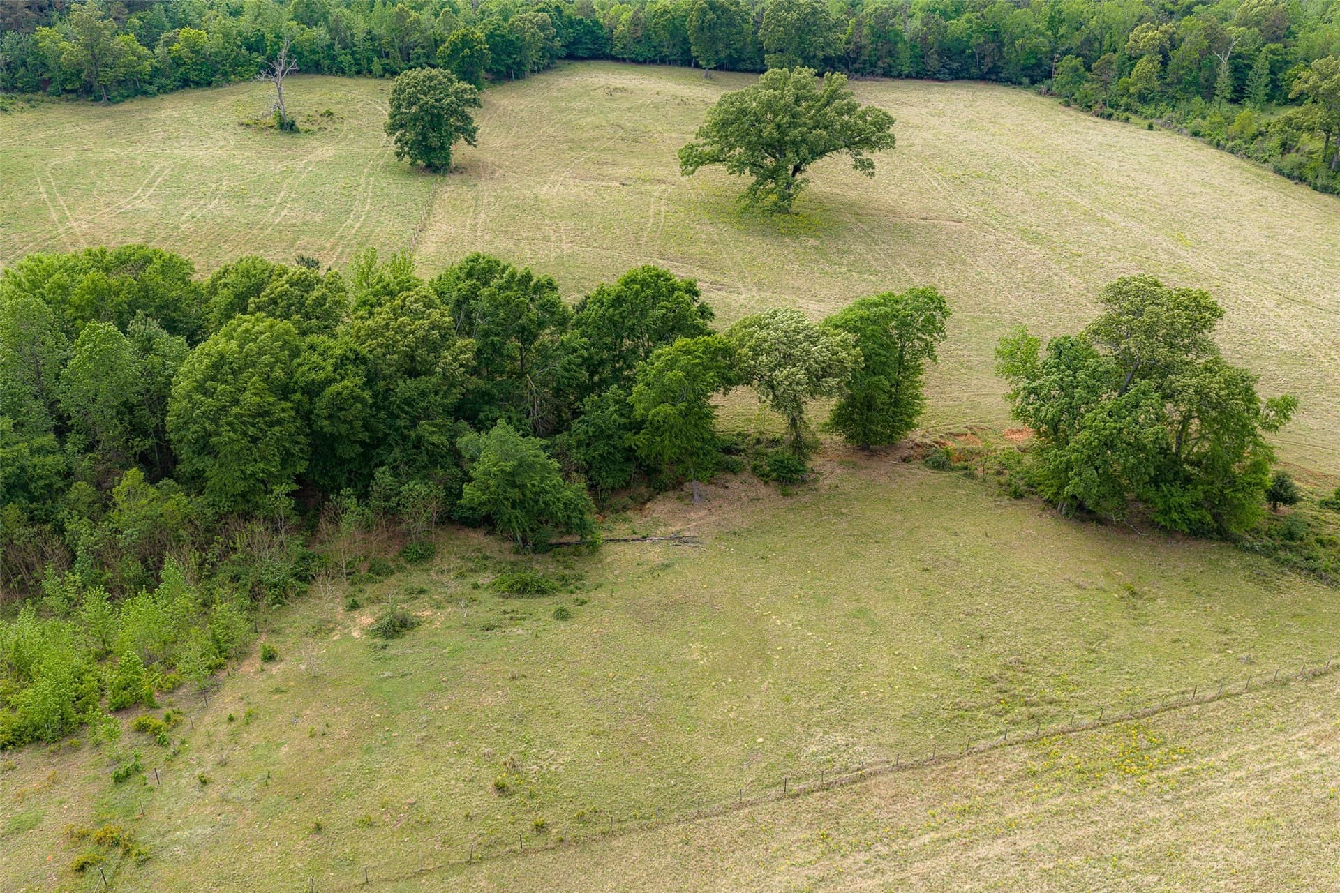 30.95 acres in Cherokee County - photo 9