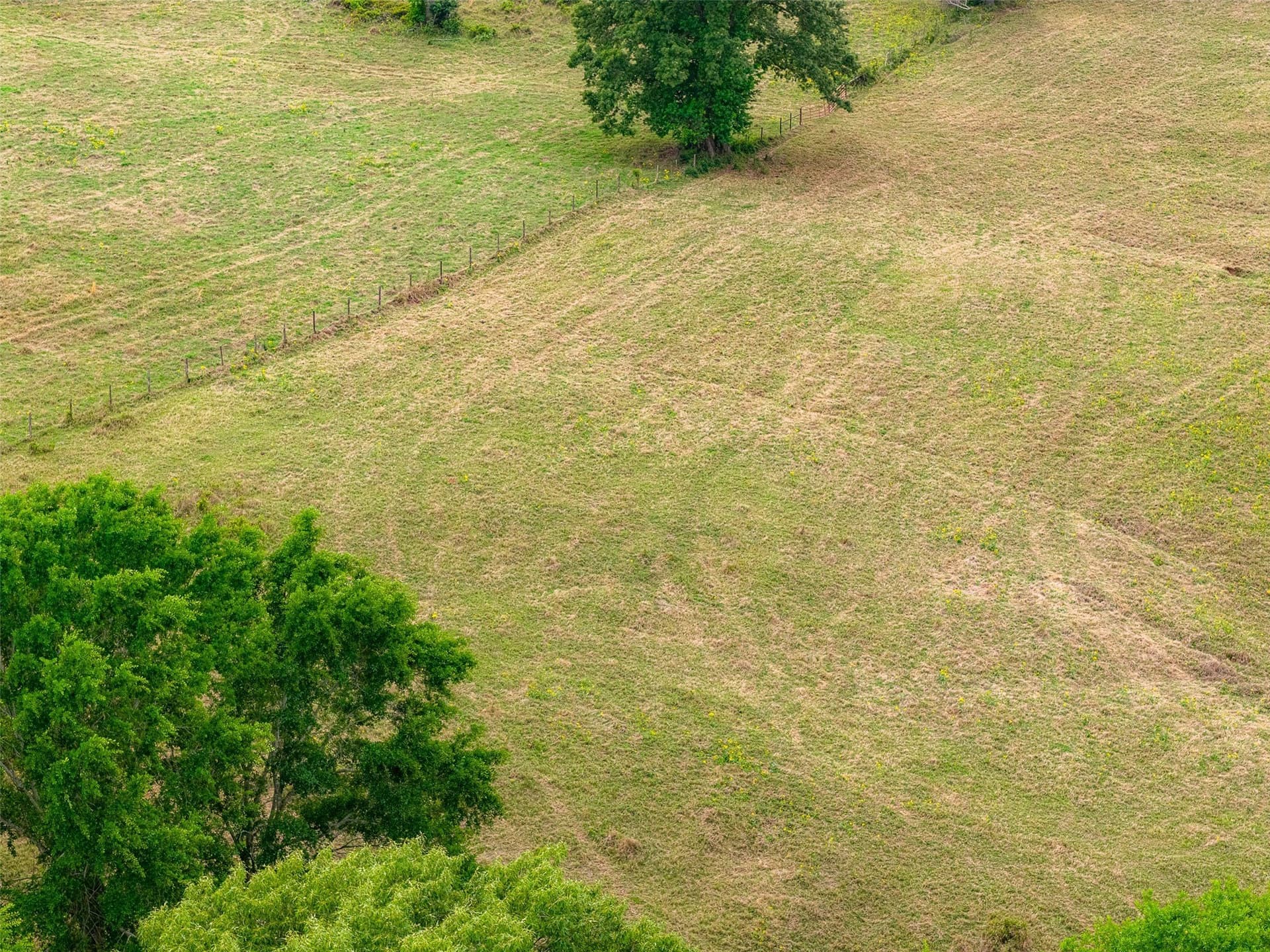 30.95 acres in Cherokee County - photo 20
