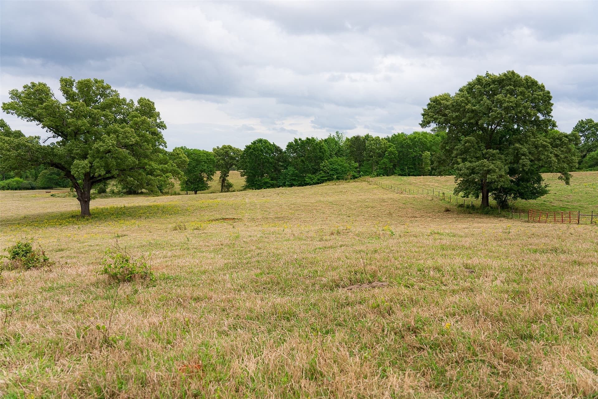 30.95 acres in Cherokee County - photo 29