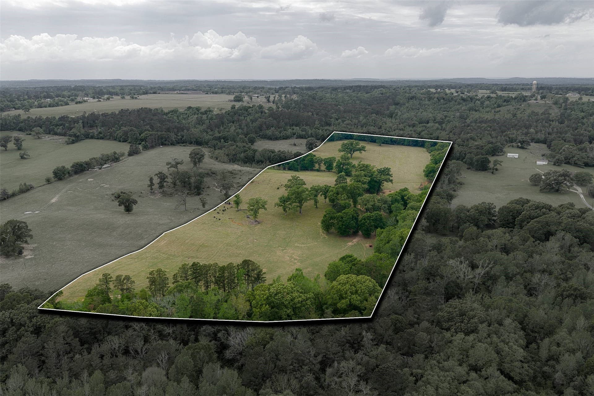 30.95 acres in Cherokee County - photo 4
