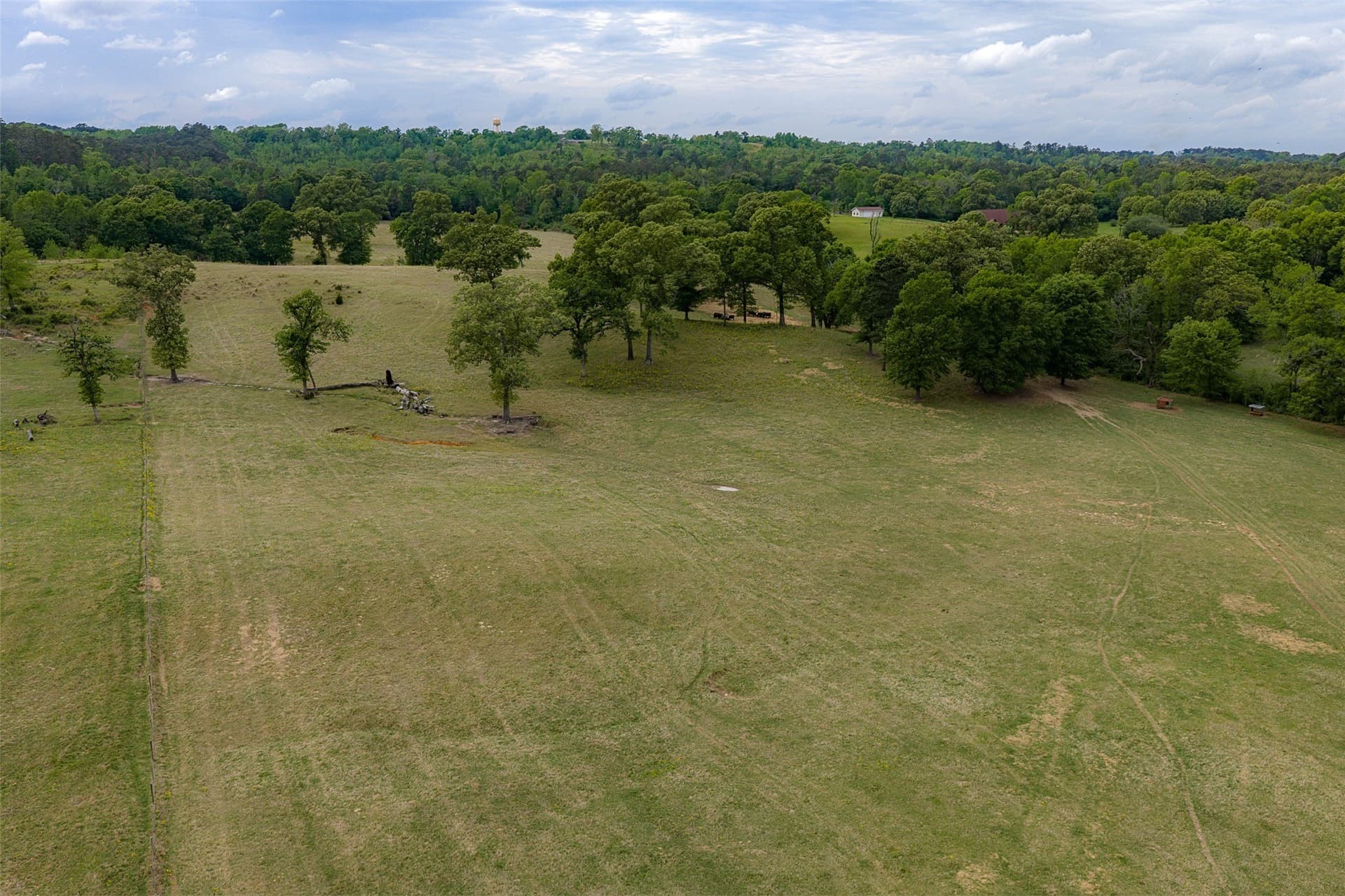 30.95 acres in Cherokee County - photo 11