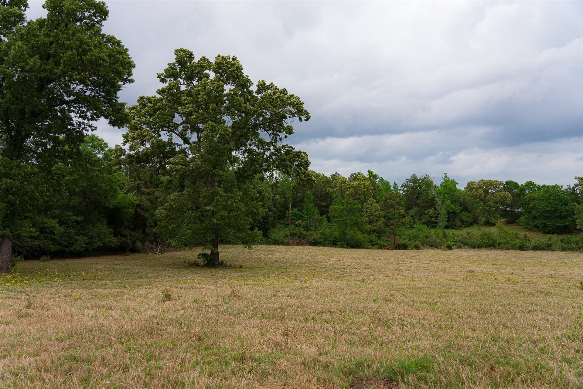 30.95 acres in Cherokee County - photo 30