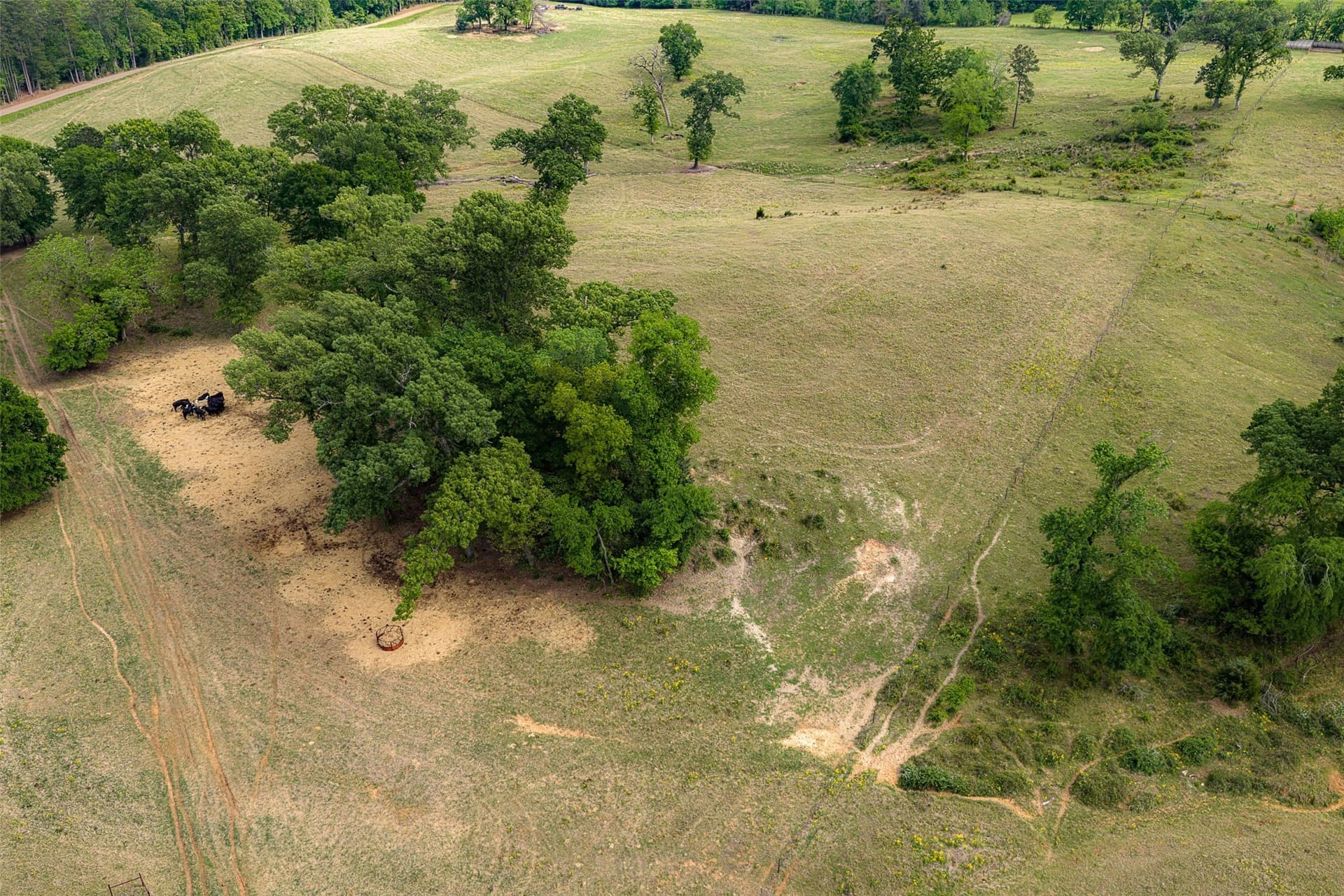 30.95 acres in Cherokee County - photo 34