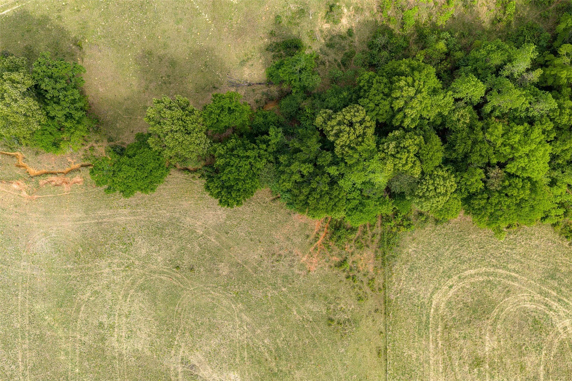 30.95 acres in Cherokee County - photo 17