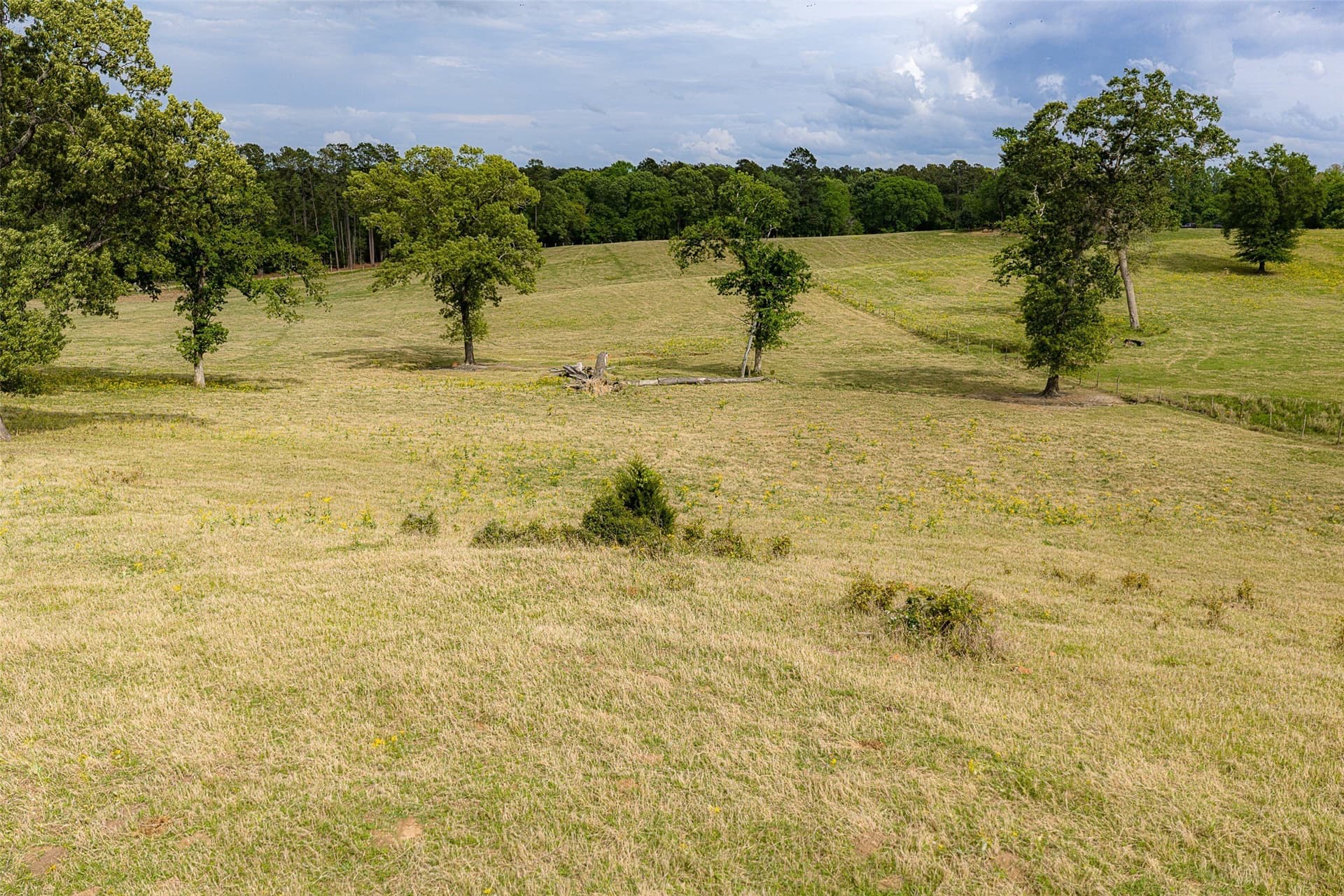 30.95 acres in Cherokee County - photo 31