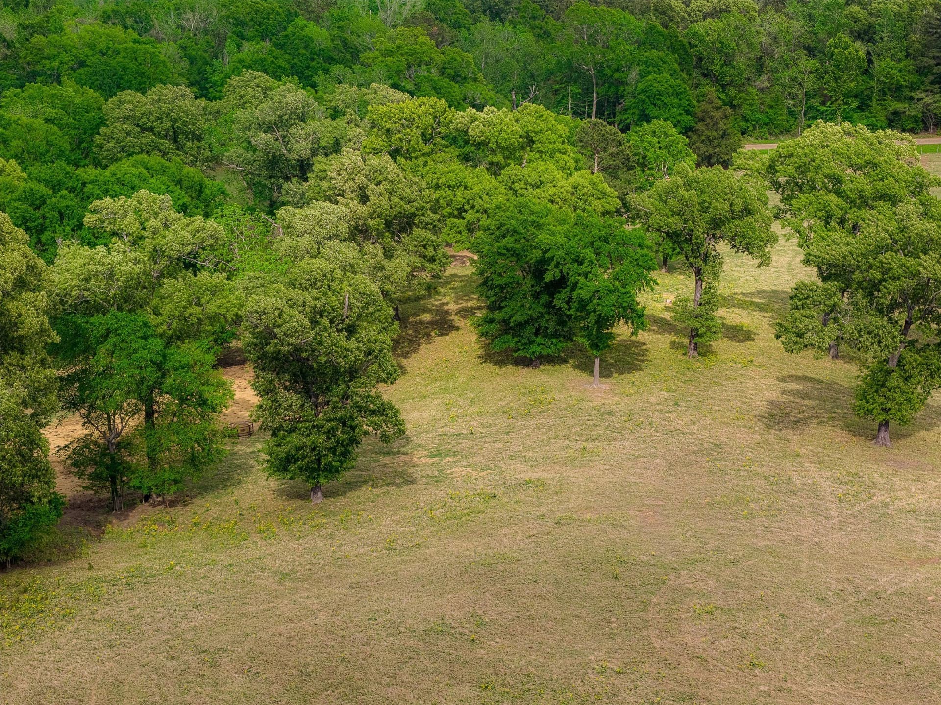 30.95 acres in Cherokee County - photo 18