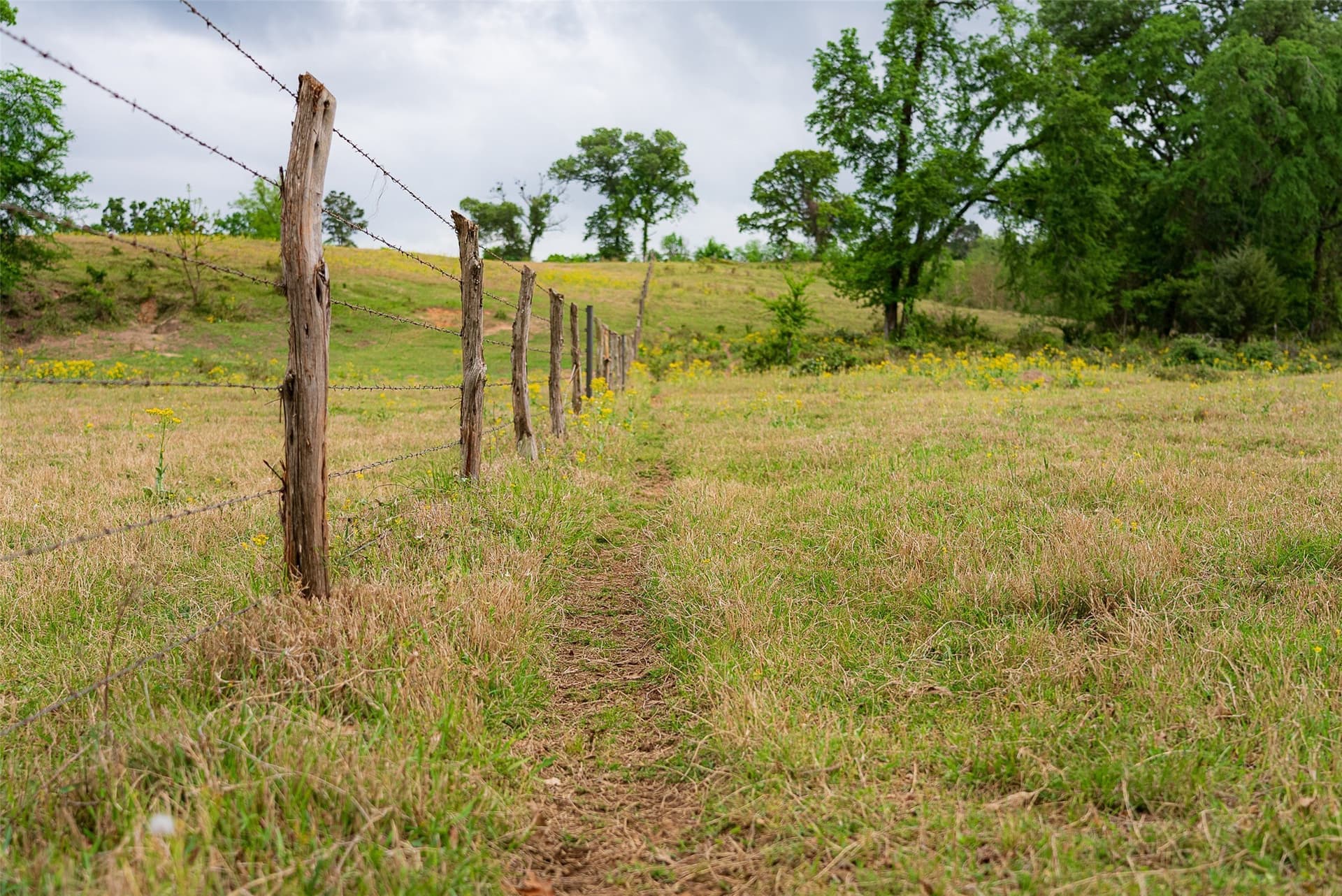 30.95 acres in Cherokee County - photo 7