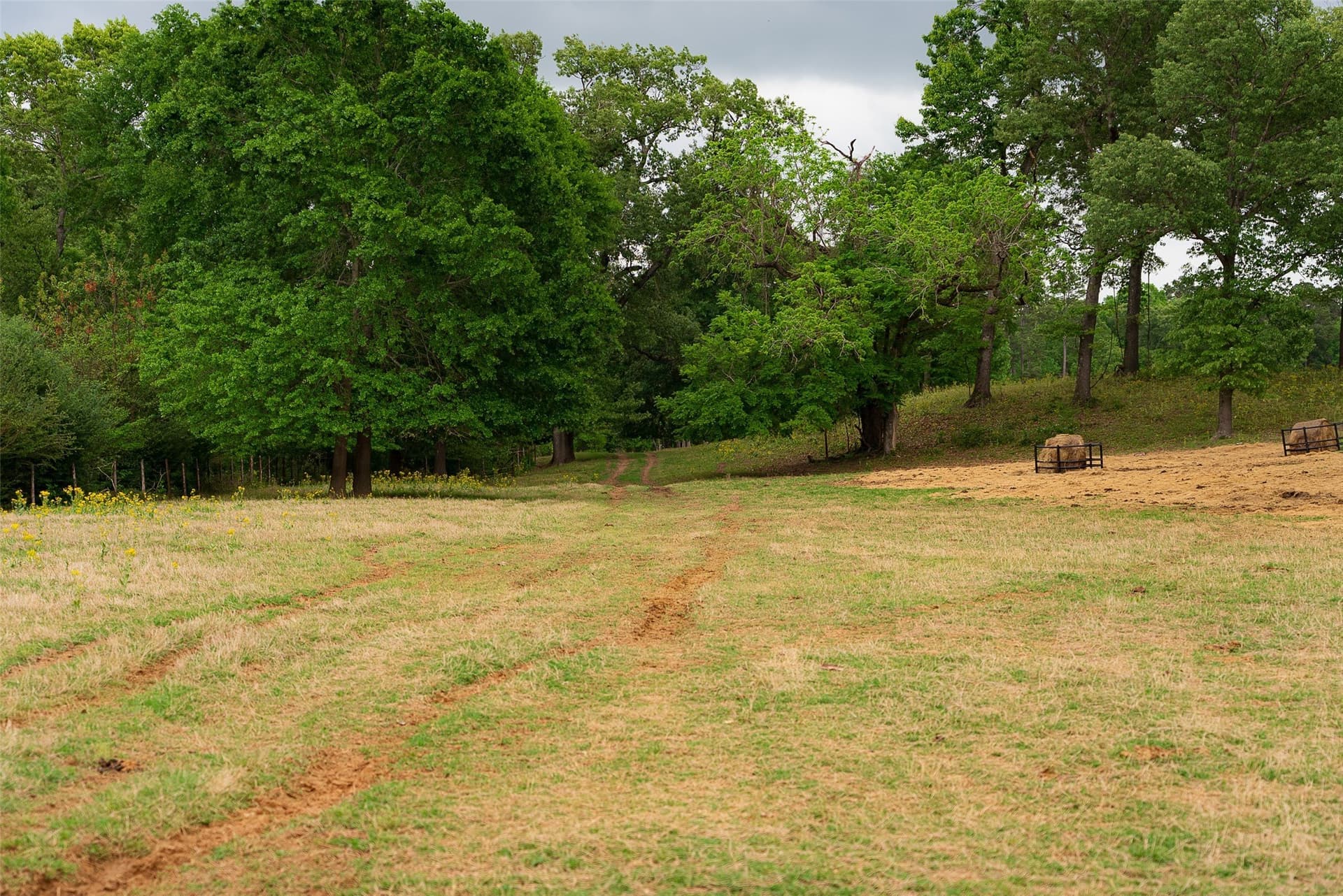 30.95 acres in Cherokee County - photo 23