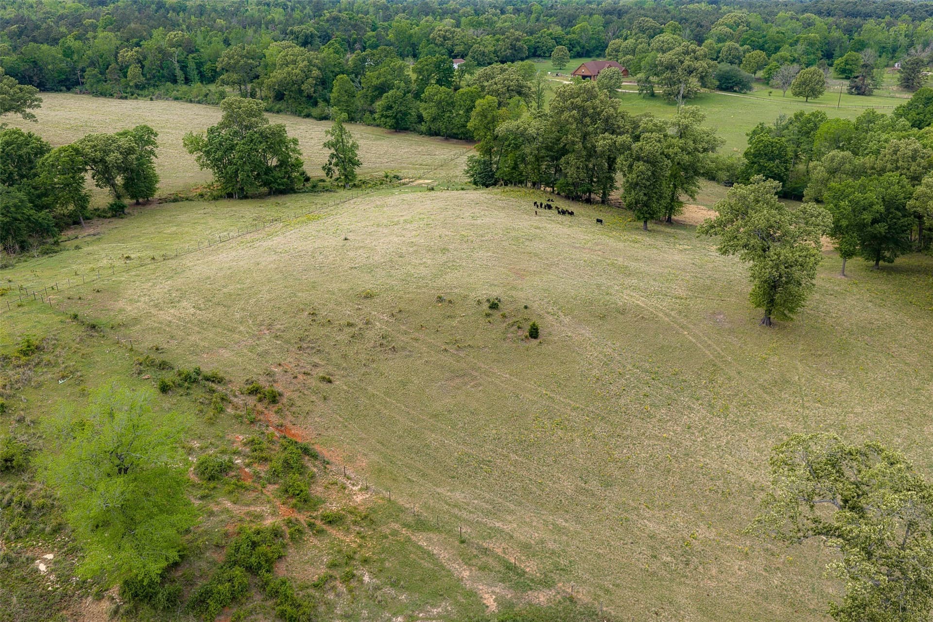 30.95 acres in Cherokee County - photo 5