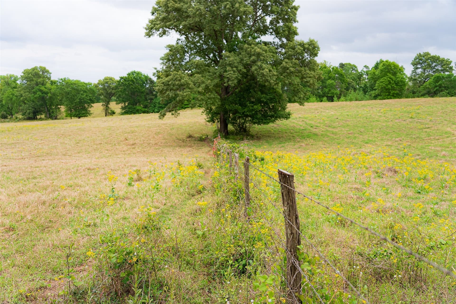 30.95 acres in Cherokee County - photo 26