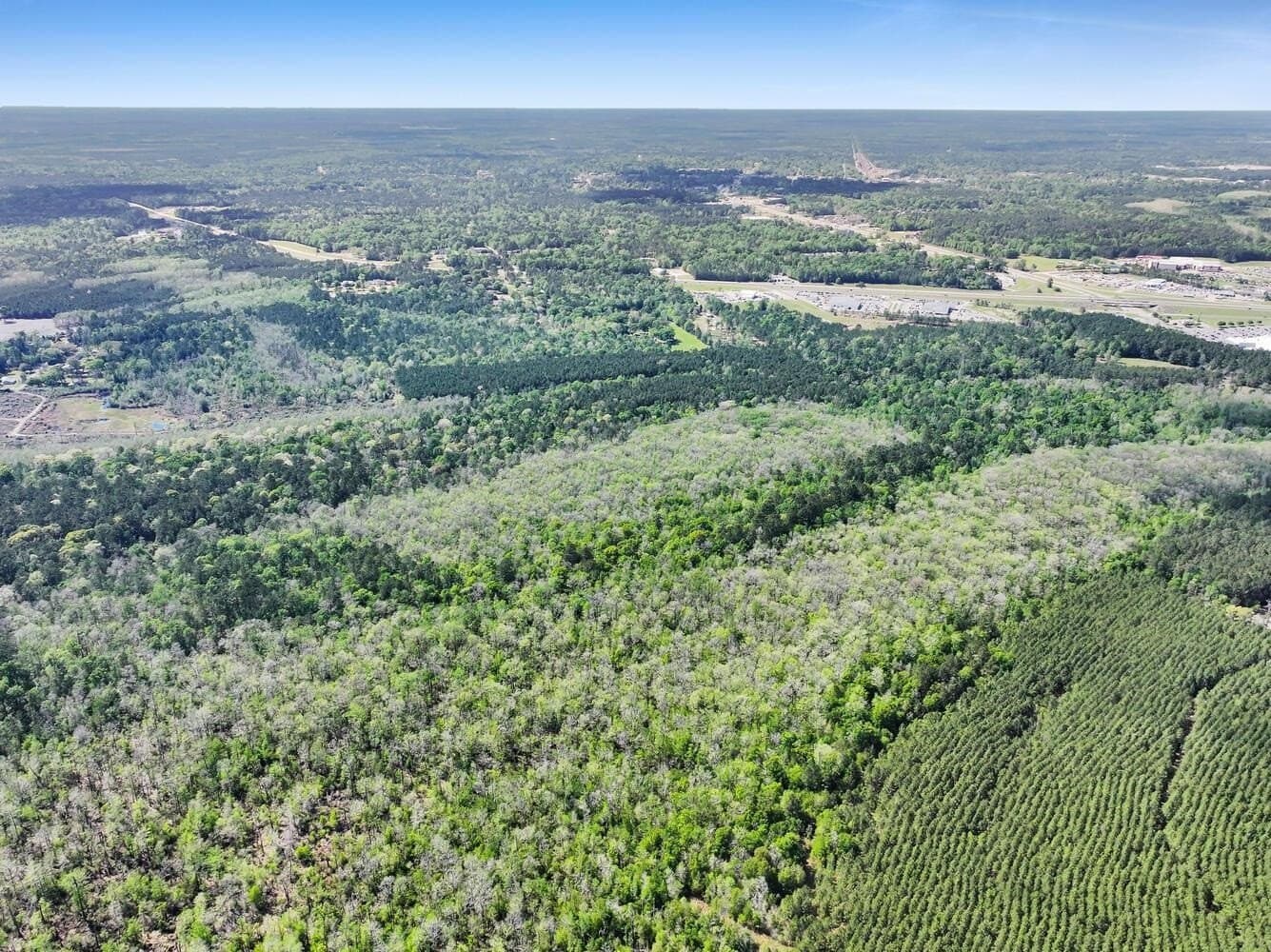 90.42 acres in Texas County - photo 6