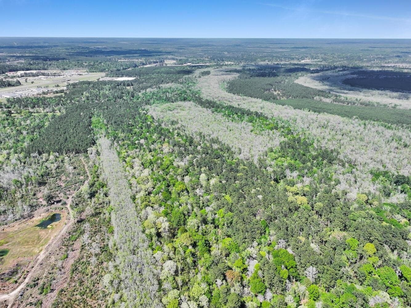90.42 acres in Texas County - photo 7