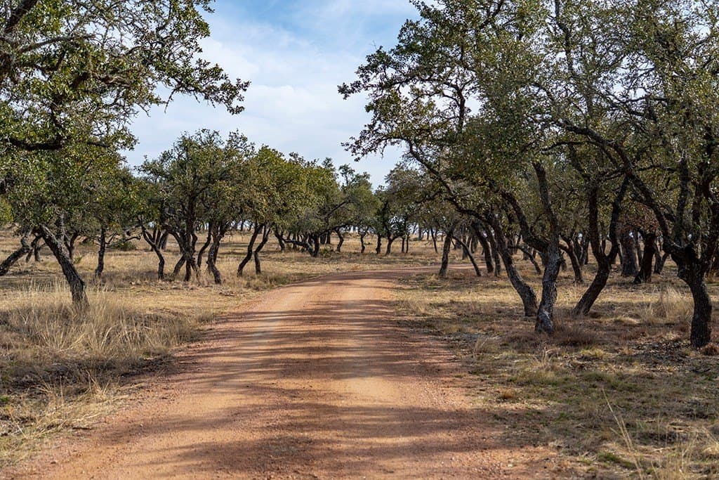 80 acres in Gillespie County - photo 20