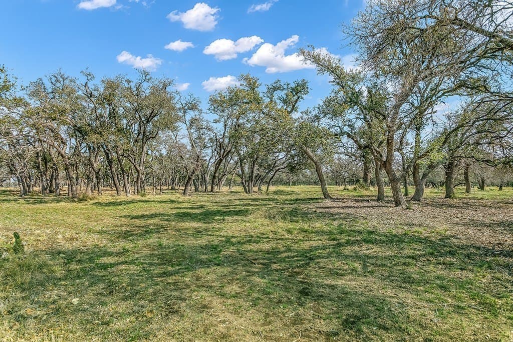 80 acres in Gillespie County - photo 38