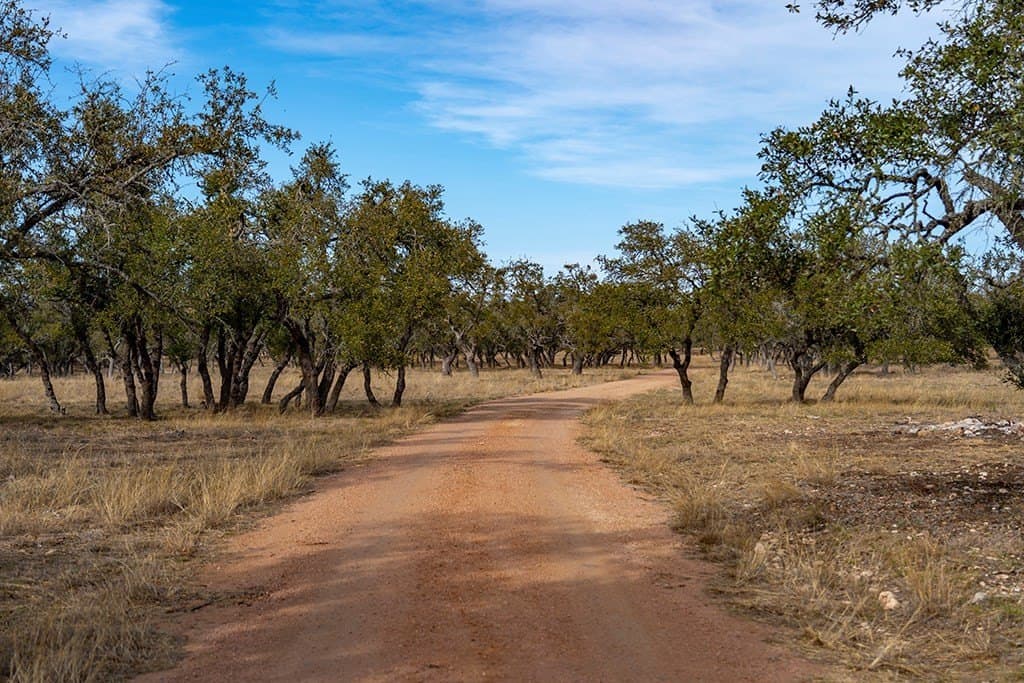 80 acres in Gillespie County - photo 22