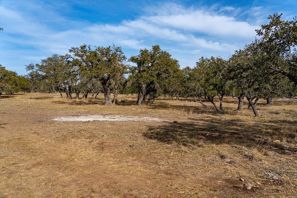 80 acres in Gillespie County - photo 21