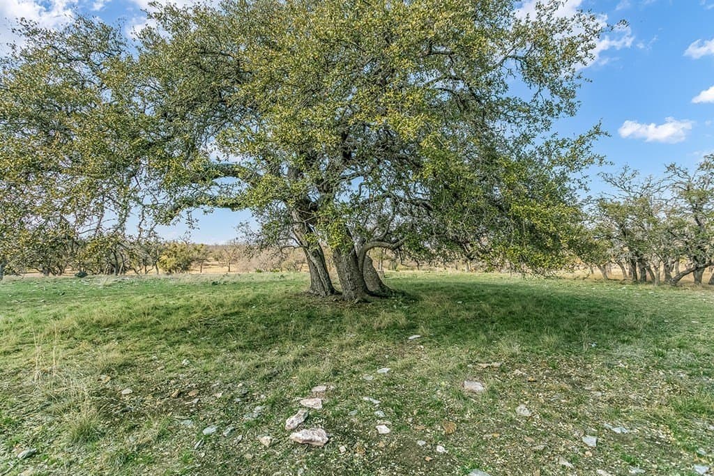 80 acres in Gillespie County - photo 37